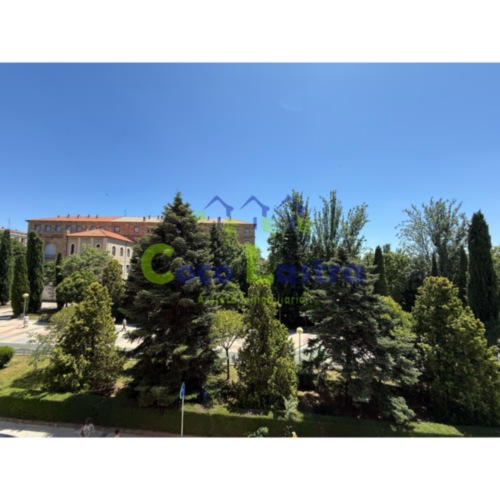 Vistas